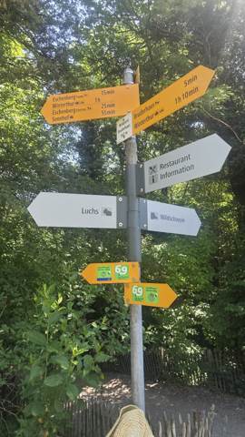 Überregionale Wanderung Kyburg, Bild 5