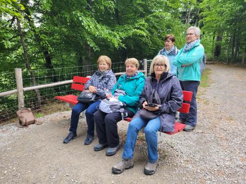 Kleine Wanderung Bischofszell, Bild 4