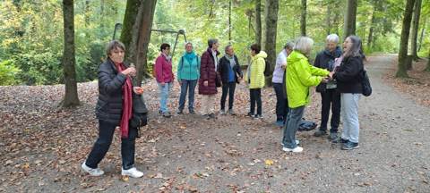Kleine Wanderung Münchwilen – Wängi, Bild 3