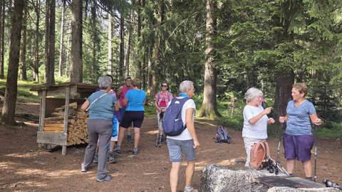 Überregionale Wanderung Hirschberg, Bild 4