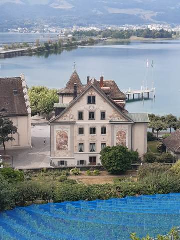 Jahresausflug Rapperswil, Bild 9