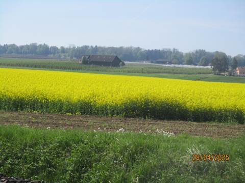 Velotour Bauerngärten, Bild 3