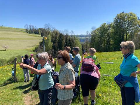 Überregionale Wanderung Lütisburg – Hammertobel – Müselbach – Hänisberg – Lütisburg, Bild 3