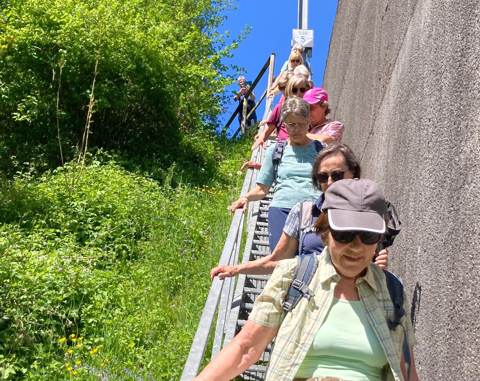 Überregionale Wanderung Lütisburg – Hammertobel – Müselbach – Hänisberg – Lütisburg, Bild 5