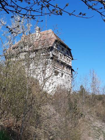Kleine Wanderung Zuckenriet – Entetswil – Olmerswil – Zuckenriet, Bild 5