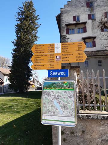 Überregionale Frühlingswanderung entlang dem Greifensee, Bild 4