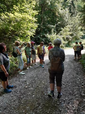 Kleine Wanderung Jonschwil – Bänkliweg, Bild 3